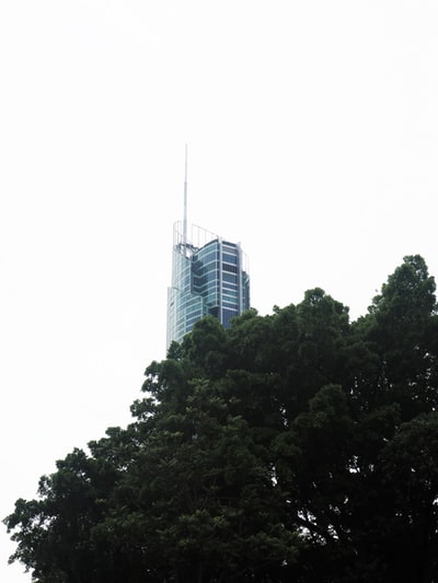 图聚科技